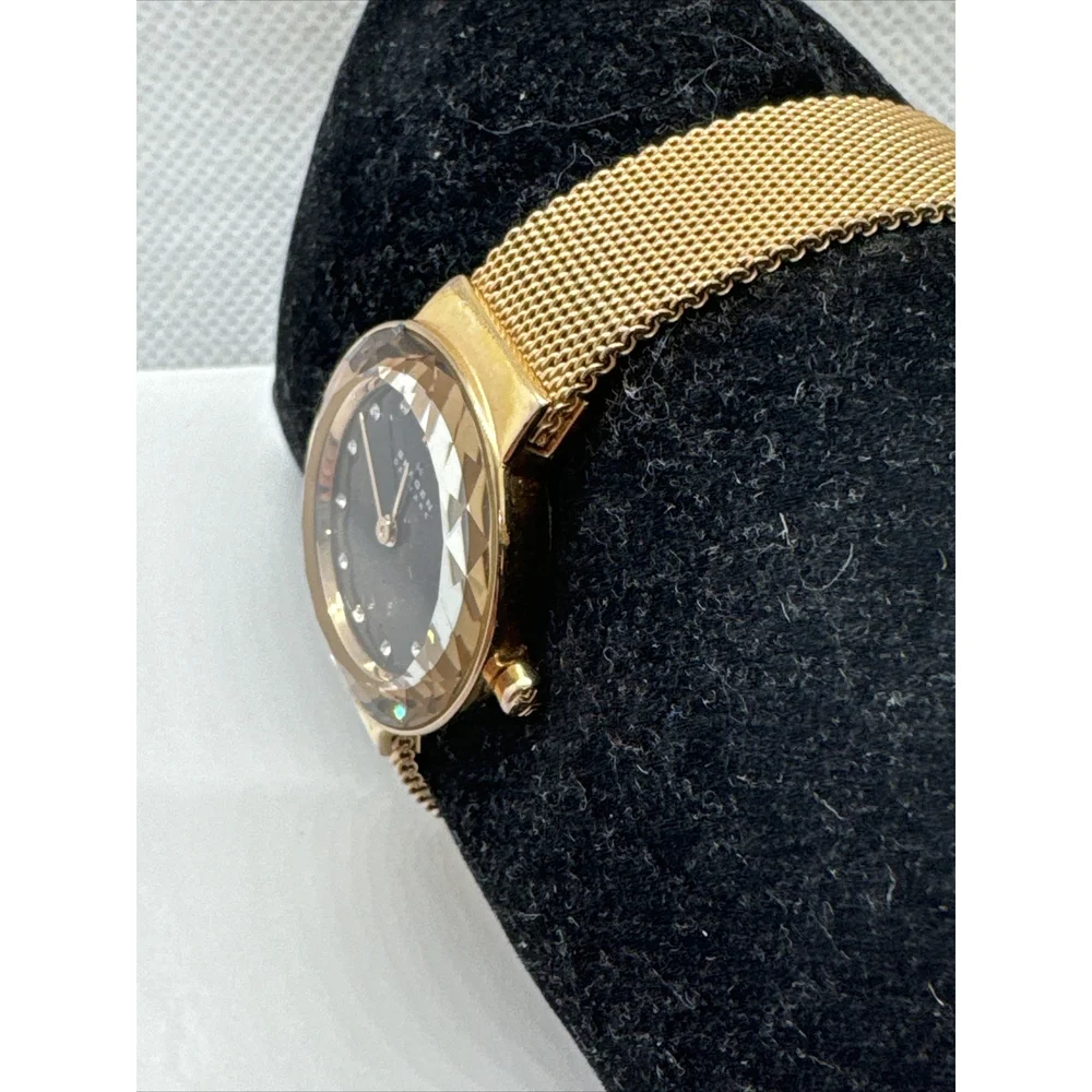 Skagen Leonora 456SRR1 Womens Rose Gold-Tone Steel Mesh Analog Dial Watch AEA155